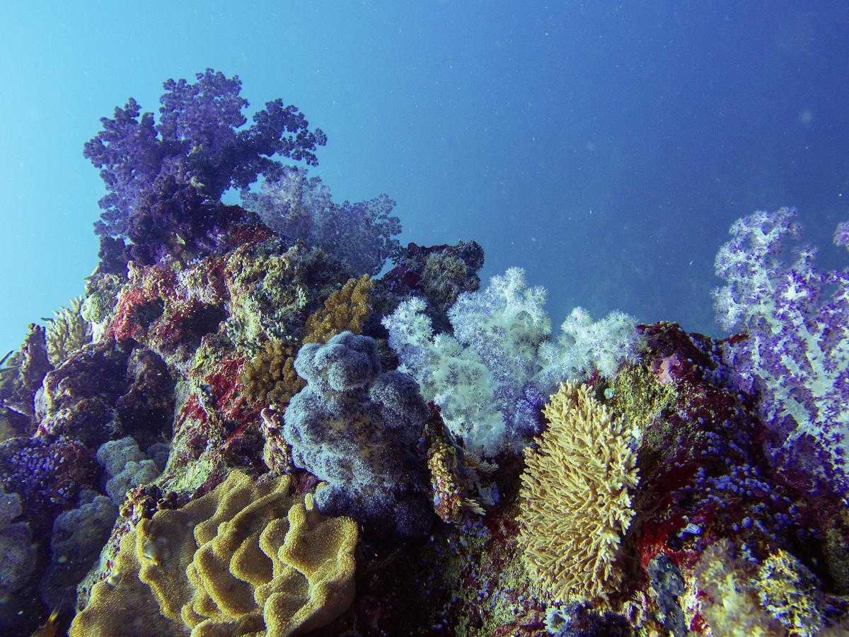 Oneta Resort Naqara ภายนอก รูปภาพ